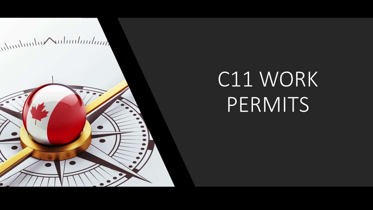C11 entrepreneur work permit