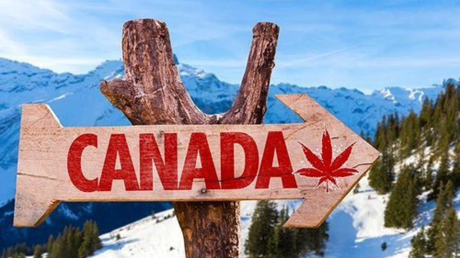 Canada Skilled Visa Consultants From Dubai